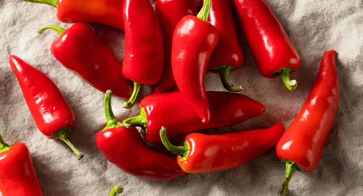 La nueva tecnología de sabor 3D por capas de Plant-Ex