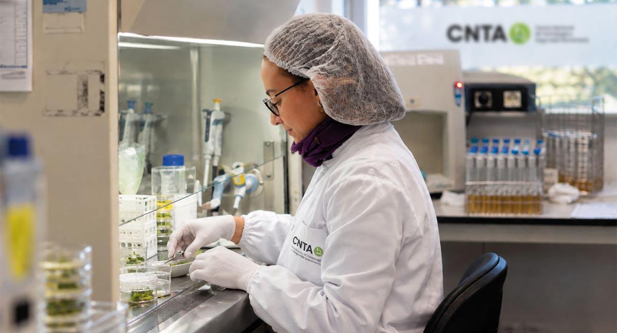 CNTA actualiza su Mapa de Escenarios Foodtech con cuatro grandes oportunidades