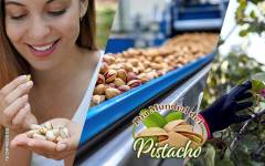 26 de febrero: Día Mundial del Pistacho