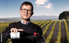 Raíces Ibéricas: “Nuestro objetivo no es solo producir vino, también generar valor ambiental”