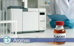 Flavorix, innovación sensorial alineada con el futuro del sector