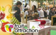Fruit Attraction 2026 ocupará 10 pabellones de Ifema Madrid para acoger a más de 2.400 empresas