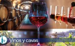 Vinos y cavas: Entre la tradición y la innovación del futuro