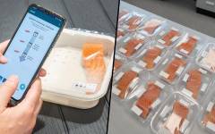 Envases inteligentes y sostenibles: innovación en la conservación y gestión para productos frescos