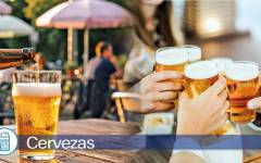 Cervezas: Turismo e innovación tiran del sector para seguir creciendo