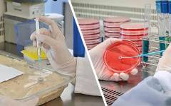 Estudios de estabilidad microbiológica y vida útil ante las nuevas tendencias de consumo