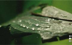 BTSA lanza nueva marca corporativa y estrena web