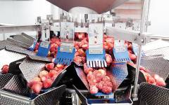 La nueva pesadora multicabezal de Ishida reduce los tiempos de entrega y aumenta la flexibilidad