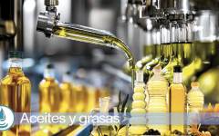 La producción del aceite de oliva se recuperó y la oferta/demanda se equilibró en el ejercicio 2024-25