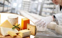 Amenaza al queso tradicional