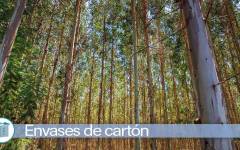 Las fake news extendidas y la percepción del envase de papel y cartón