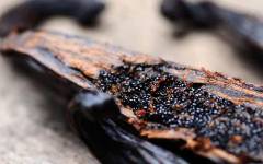 Vanilift®, una tecnología de dsm-firmenich para obtener un aroma natural y sostenible de vainilla