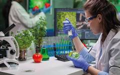 Proteínas alternativas y avances en tecnologías ómicas y de fermentación, resultados de la Red Optiprot