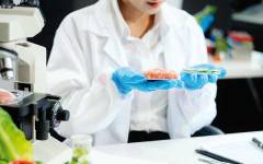 Productos Pilarica para reconstituir las pérdidas del proceso industrial