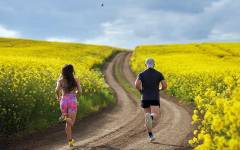 dsm-firmenich presenta la versátil proteína vegetal Vertis™ CanolaPRO®