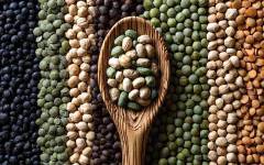 Safic-Alcan presenta la harina de habas y su concentrado Pure-Pulse™ y Pure-Tein™