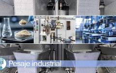 Pesaje industrial: Tecnología y diseño al servicio de la precisión