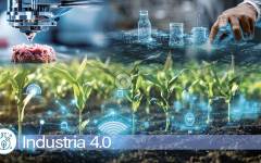 Industria 4.0: La IA, nuevo motor industrial en el diseño de productos alimentarios