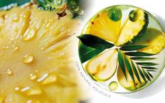 MANE presenta el nuevo aroma afrutado Antillone™