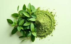 Los ingredientes fermentados de Fermedics se incorporan a la oferta de Trades