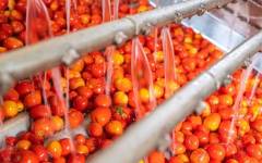 La industria alimentaria y de bebidas, obligadas a reforzar sus sistemas de control de agua