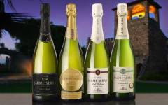 Vidrala diseña la botella de vidrio más ligera para el cava de Jaume Serra