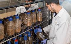 Los ensayos de compostabilidad y biodegradación de Aimplas, reconocidos en Australia y Japón