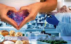 Fibras: Innovación funcional al servicio de la salud
