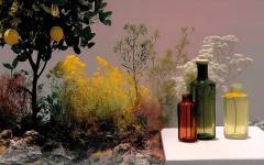 Verallia presenta las tendencias para envases y tarros de vidrio para bebidas y alimentos en 2026