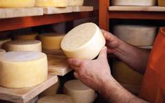 Larbus presenta un nuevo cultivo de IFF que “transforma” la producción de quesos semiduros