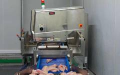 La avanzada tecnología de rayos X de Ishida mejora los controles de calidad en Nikas