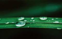 Brenntag gana el Premio Sappi 2024 al Liderazgo en Sostenibilidad de Proveedores