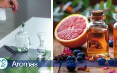 Advant, más de 15 años creando experiencias sensoriales