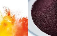 Soluciones colorantes de BASF para crear productos visualmente impactantes y más saludables
