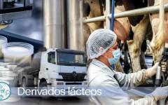Derivados lácteos: El reto de la competitividad en un mercado que se reinventa