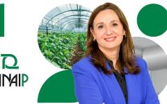 Isabel Goyena asume la dirección general de ANAIP en un momento “crítico” para la industria del plástico