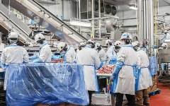 CSB-System proporciona avanzadas soluciones digitales para la producción de carne de cerdo