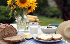 Kensing: la EFSA aprueba sus fitoesteroles de girasol de origen natural