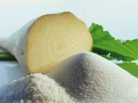 Más allá del GLP-1: ingredientes para el éxito a largo plazo