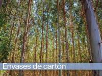 Las fake news extendidas y la percepción del envase de papel y cartón