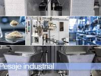 Pesaje industrial: Tecnología y diseño al servicio de la precisión