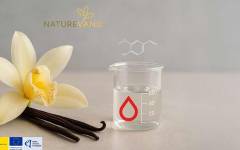 Hausmann y la UAB investigan cómo obtener vainilla a partir de subproductos agrícolas