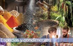 Especias y condimentos: Sabores con propósito