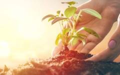 Packaging más sostenible y consumidores más concienciados en el Día Mundial del Medio Ambiente