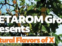 Metarom lanza su nueva gama de ANX ('Aromas Naturales de X')