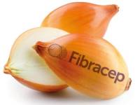 Faravelli: Fibracep®, un nuevo concepto de fibra para combatir el Síndrome Metabólico