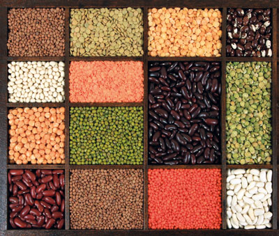 Pevesa, proteínas concentradas de legumbres