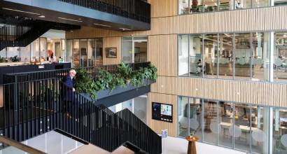 “En dsm-firmenich poseemos una perspectiva holística única sobre el sector lácteo”