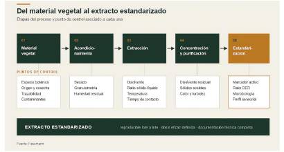 Hausmann: el auge de las bebidas funcionales basadas en extractos botánicos e ingredientes novedosos