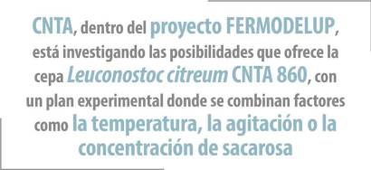 Exopolisacáridos: una alternativa clean label al gluten 